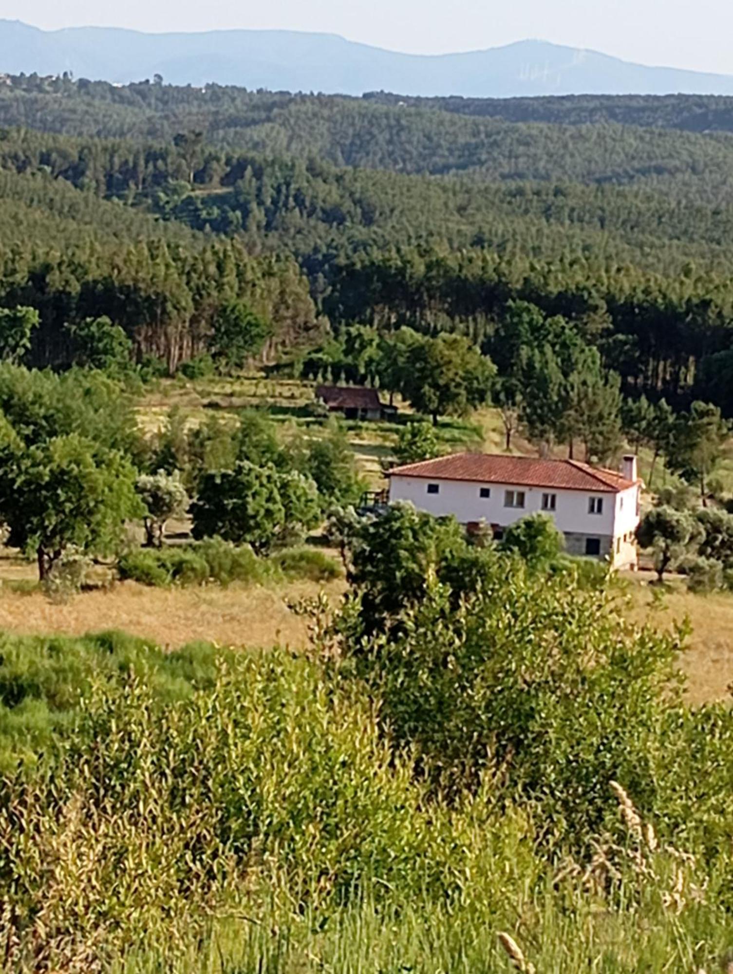 Bed and Breakfast Quinta Da Barroca Do Cabo à Ázere Extérieur photo